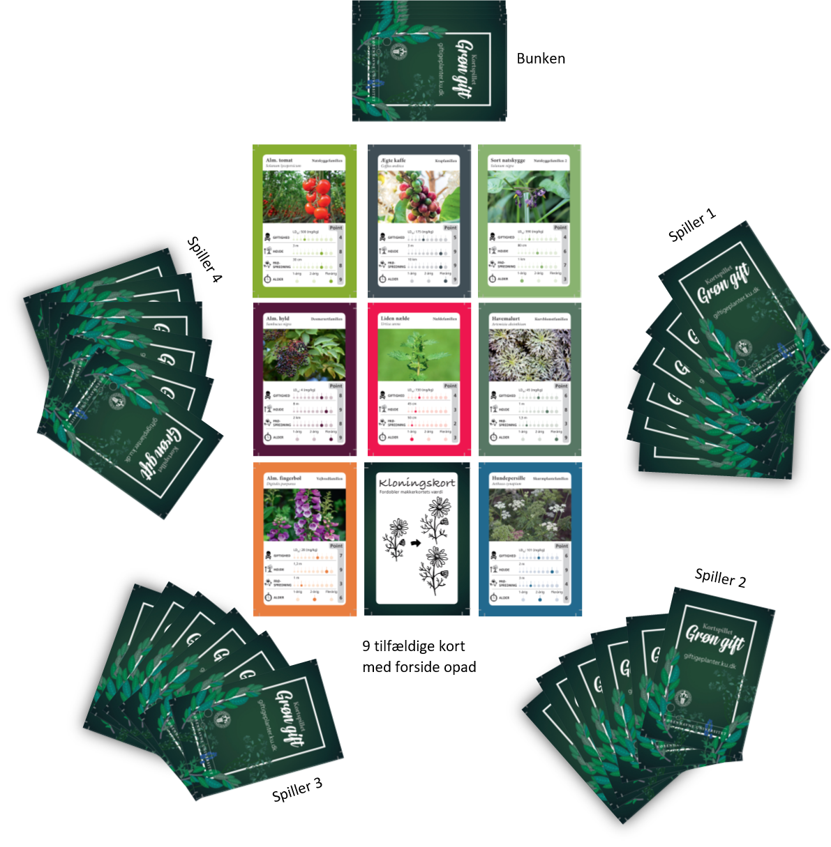 Et eksempel på hvordan kortspillet ser ud i brug med fire spillere, der hver har seks kort. På bordet er desuden en bunke og ni tilfældige kort, der vender med billedsiden op.